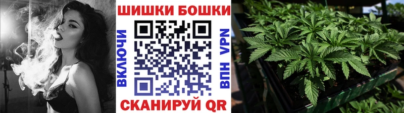 Бошки Шишки семена  Струнино 